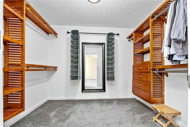 5065 Cross Creek Ln, Miami Township, OH 45150 - spacious closet with carpet