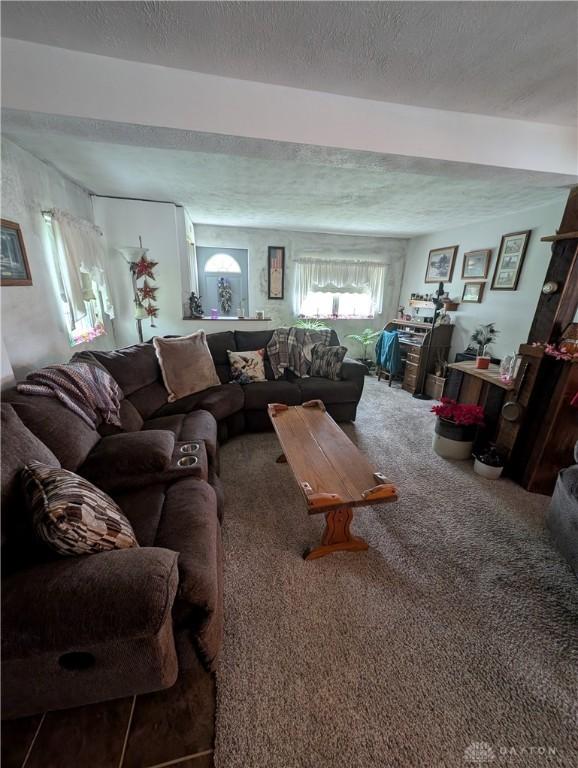 7430 S Kessler Fred Rd, West Milton, OH 45383 - carpeted living area with a textured ceiling