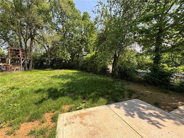 view of grassy yard featuring a patio area