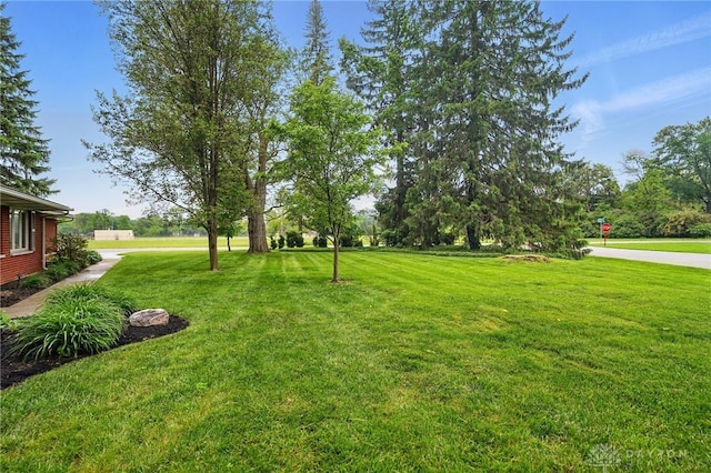 141 W Rahn Rd, Washington Twp, OH 45429 - view of grassy yard