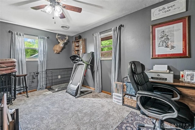 1493 N Sulphur Springs Rd, West Alexandria, OH 45381 - office space featuring carpet floors, ceiling fan, and baseboards