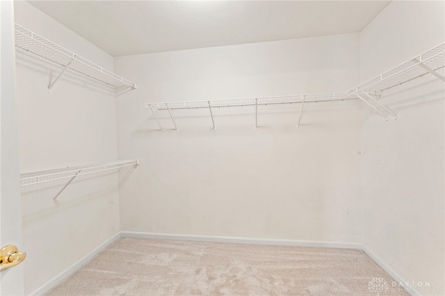 spacious closet with light colored carpet