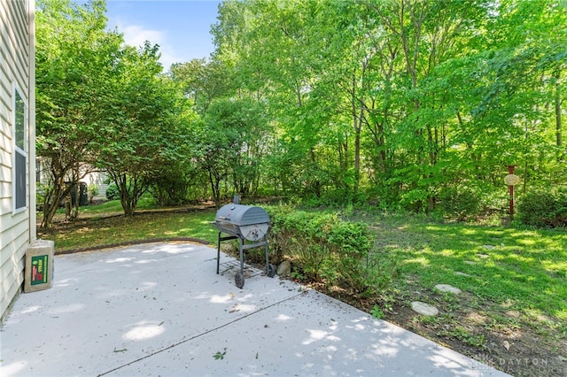 2040 Rustling Oak Ct, Beavercreek, OH 45431 - photo 71