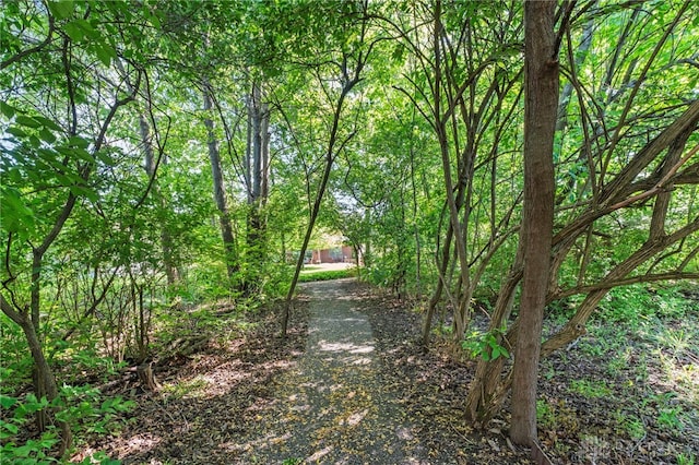 view of dirt / gravel road featuring a wooded view