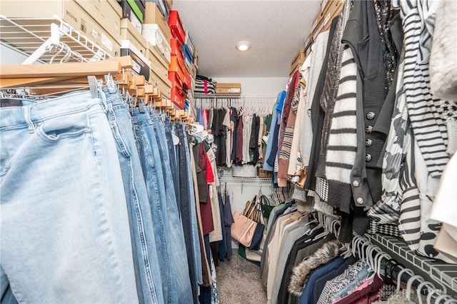 1909 Cleopatra Dr, Franklin, OH 45005 - spacious closet with carpet floors