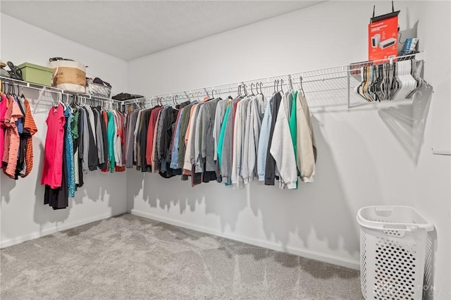 walk in closet featuring carpet floors
