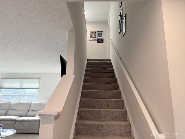 222 Roebling St, Springfield, OH 45505 - photo 12