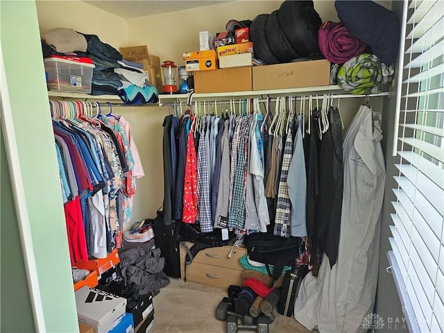 2547 Ryan Ct, Beavercreek, OH 45434 - spacious closet with carpet flooring