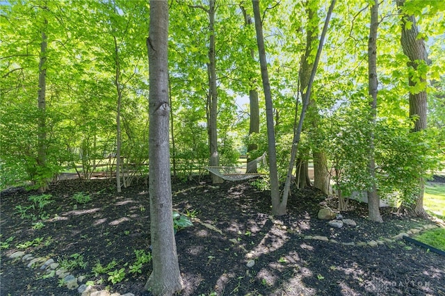 9300 Somerset Ct, Clearcreek Twp, OH 45458 - view of undeveloped land