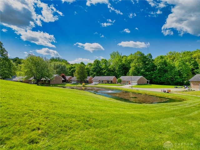 3339 Turner Dr, Springfield, OH 45504 - view of green lawn