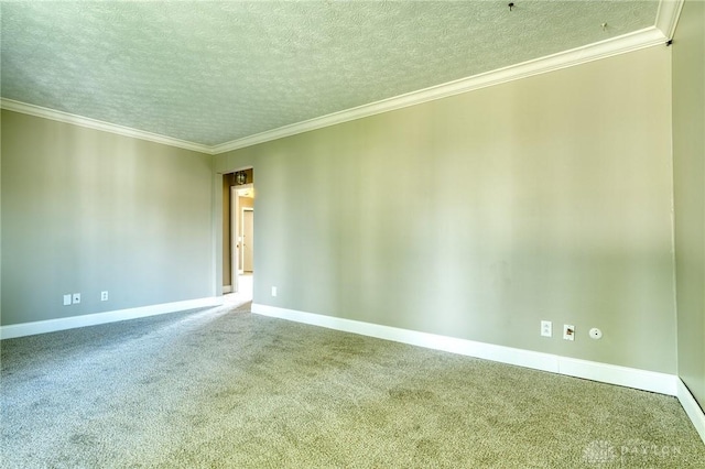 3339 Turner Dr, Springfield, OH 45504 - empty room with carpet floors, a textured ceiling, baseboards, and crown molding