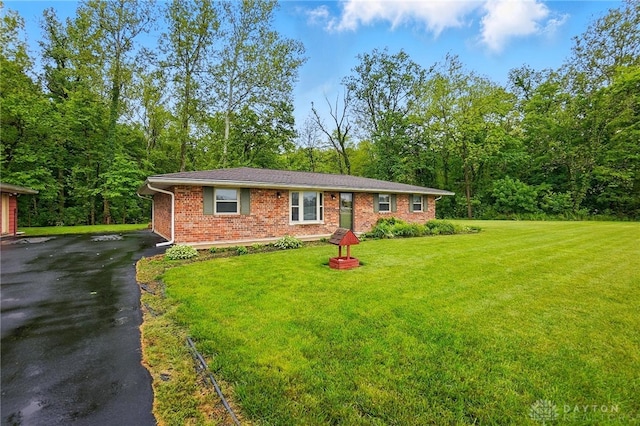 8590 Euphemia Castine Rd, Lewisburg, OH 45338 - single story home with asphalt driveway, brick siding, and a front lawn