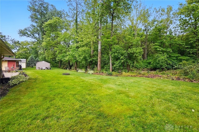 8590 Euphemia Castine Rd, Lewisburg, OH 45338 - view of green lawn