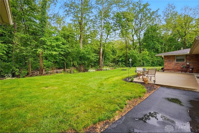 8590 Euphemia Castine Rd, Lewisburg, OH 45338 - view of green lawn with a patio area