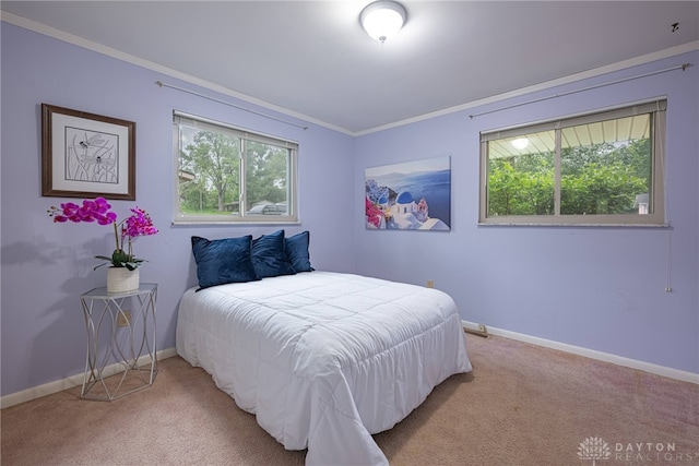 2444 Tennyson Dr, Bellbrook, OH 45305 - carpeted bedroom with baseboards and ornamental molding