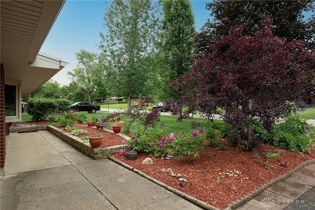2444 Tennyson Dr, Bellbrook, OH 45305 - view of yard