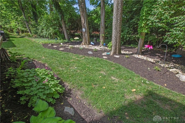 40 Nicholson Ct, Washington Twp, OH 45459 - view of green lawn