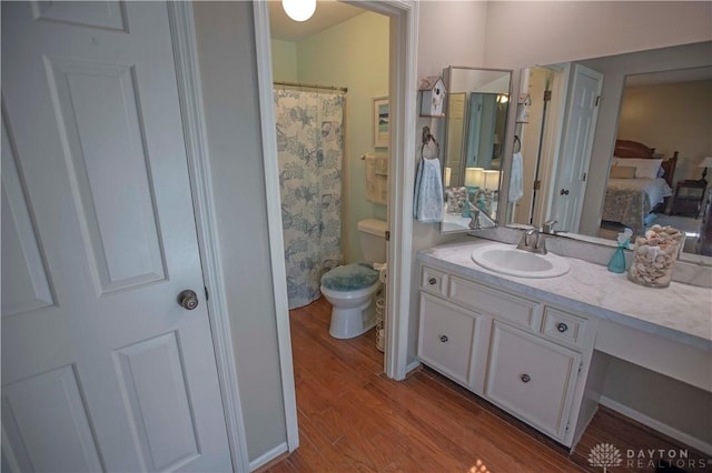 40 Nicholson Ct, Washington Twp, OH 45459 - full bath featuring wood finished floors, vanity, toilet, and connected bathroom