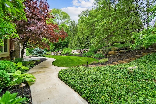 7721 Country Brook Ct, Springboro, OH 45066 - view of home's community