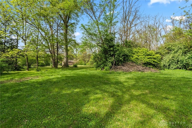 1012 W Sparrow Rd, Springfield, OH 45502 - view of green lawn