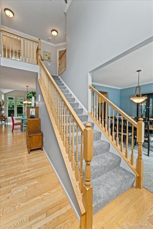 1422 Shawnee Run Dr, Maineville, OH 45039 - staircase featuring ornamental molding, wood finished floors, baseboards, and a high ceiling