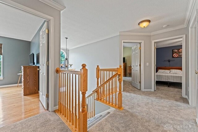 1422 Shawnee Run Dr, Maineville, OH 45039 - hall featuring an upstairs landing, carpet, baseboards, and ornamental molding