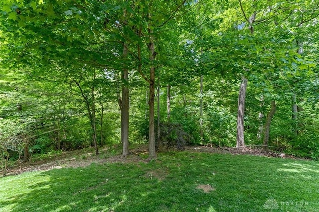 1422 Shawnee Run Dr, Maineville, OH 45039 - view of wooded area