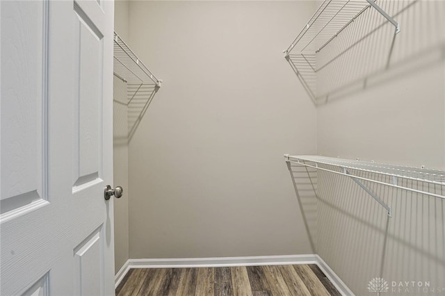 1690 Piper Ln Unit 206, Washington Twp, OH 45440 - walk in closet featuring wood finished floors