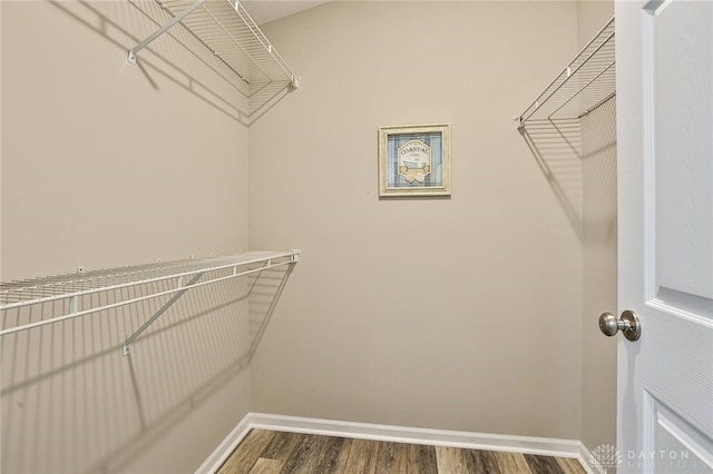1690 Piper Ln Unit 206, Washington Twp, OH 45440 - walk in closet with wood finished floors