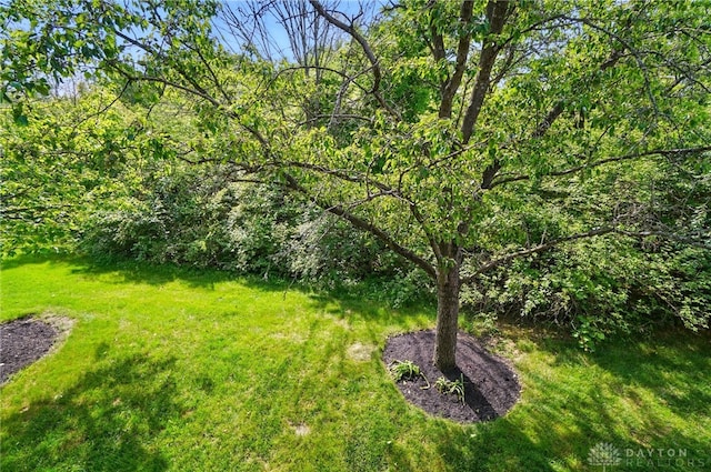 1175 Captains Brg, Dayton, OH 45458 - view of grassy yard