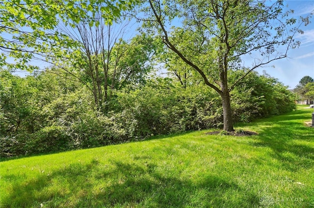 1175 Captains Brg, Dayton, OH 45458 - view of grassy yard