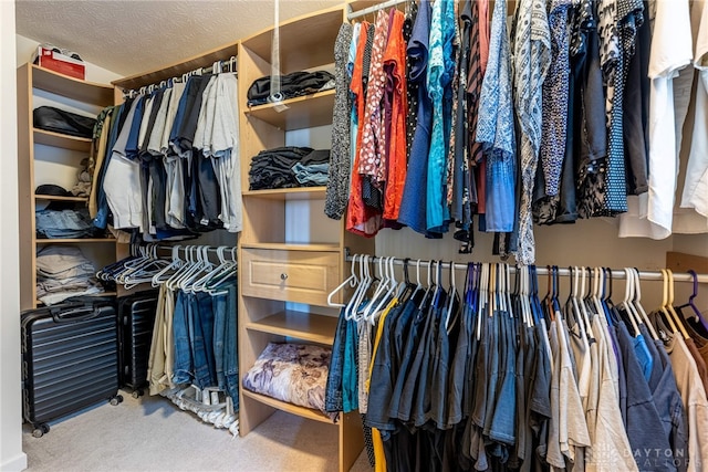 1233 Terrington Way, Miamisburg, OH 45342 - spacious closet featuring carpet floors