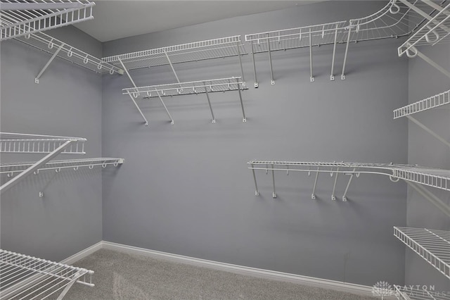 3085 State Route 122, Springboro, OH 45005 - spacious closet with carpet floors