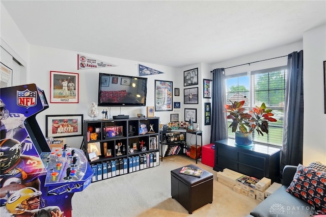1248 Kern Dr, Germantown, OH 45327 - recreation room with carpet