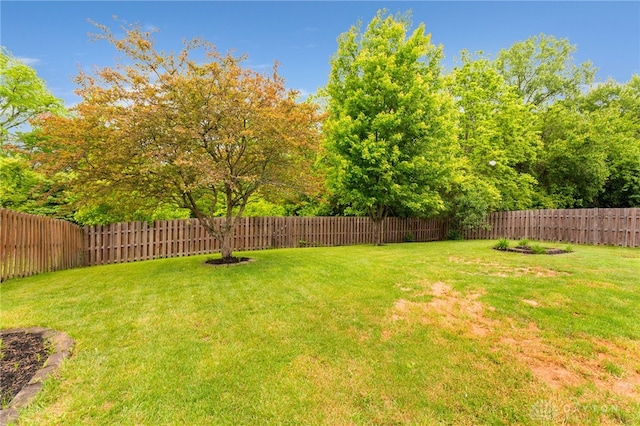 4513 Silver Oak St, Dayton, OH 45424 - view of yard