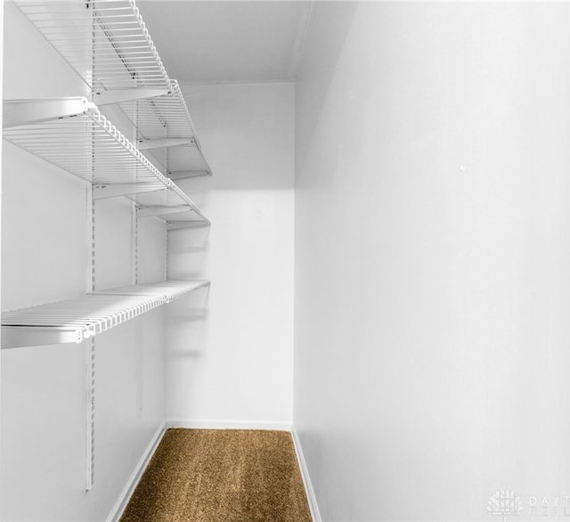 4513 Silver Oak St, Dayton, OH 45424 - view of spacious closet
