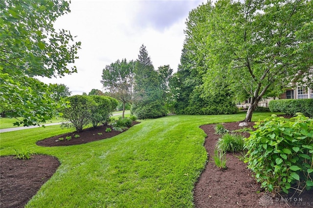 7299 Country Club Ln, West Chester, OH 45069 - view of green lawn
