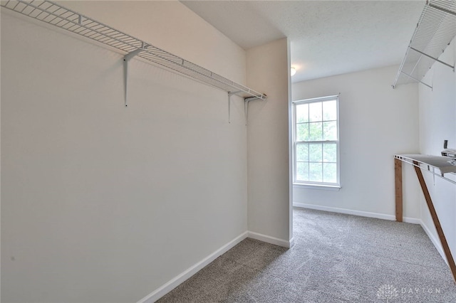 510 Delaware Xing, Trenton, OH 45067 - spacious closet with carpet flooring