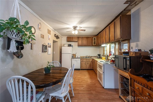 291 S W St, Xenia, OH 45385 - kitchen featuring white appliances, light wood-style floors, ceiling fan, brown cabinetry, and a sink