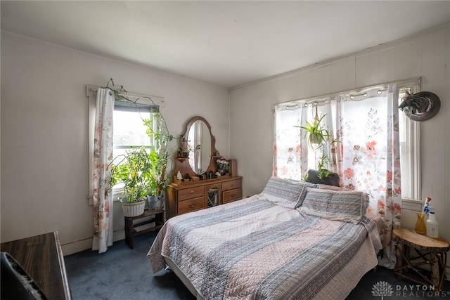 291 S W St, Xenia, OH 45385 - view of carpeted bedroom