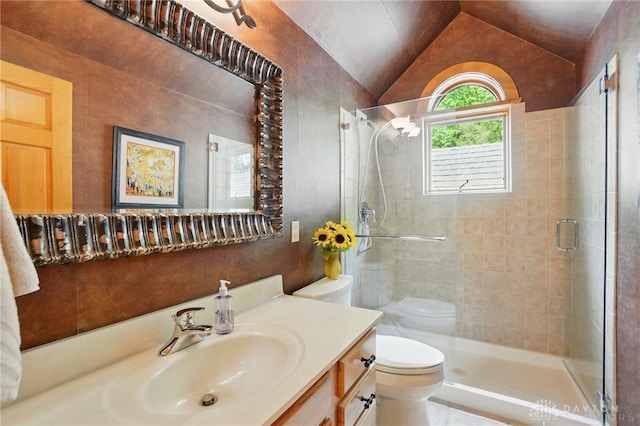 508 E Lower Springboro Rd, Clearcreek Twp, OH 45066 - full bathroom with toilet, vanity, a shower stall, and vaulted ceiling
