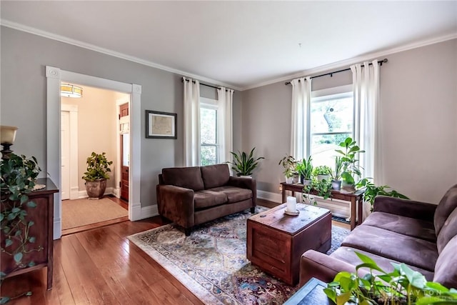 206 Wright Ave, Lebanon, OH 45036 - living room with crown molding, hardwood / wood-style floors, and baseboards