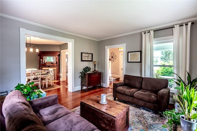 206 Wright Ave, Lebanon, OH 45036 - living room with wood finished floors, plenty of natural light, ornamental molding, and baseboards