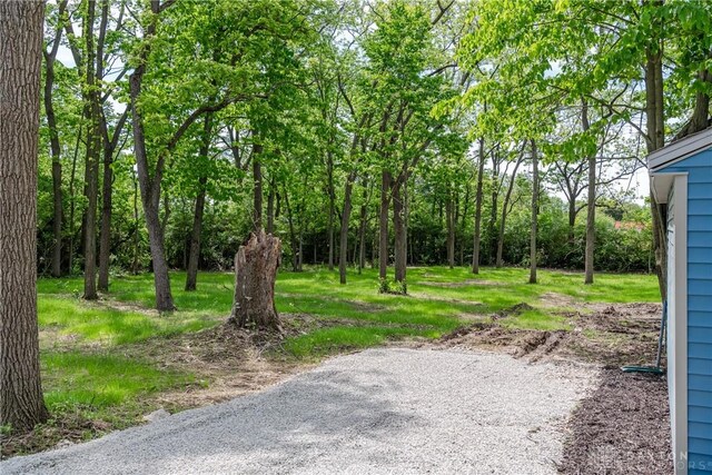 4370 Dayton Liberty Rd, Dayton, OH 45417 - view of yard
