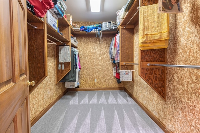 514 Shambord Cir, Kettering, OH 45429 - spacious closet with carpet flooring