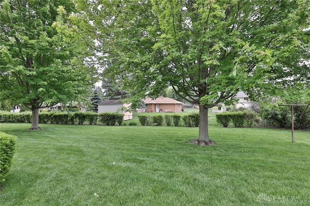 300 Magnolia Ave, Englewood, OH 45322 - view of green lawn