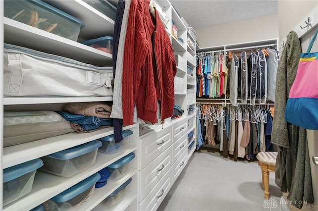 7607 Stone Ridge Dr, Springboro, OH 45066 - spacious closet with carpet