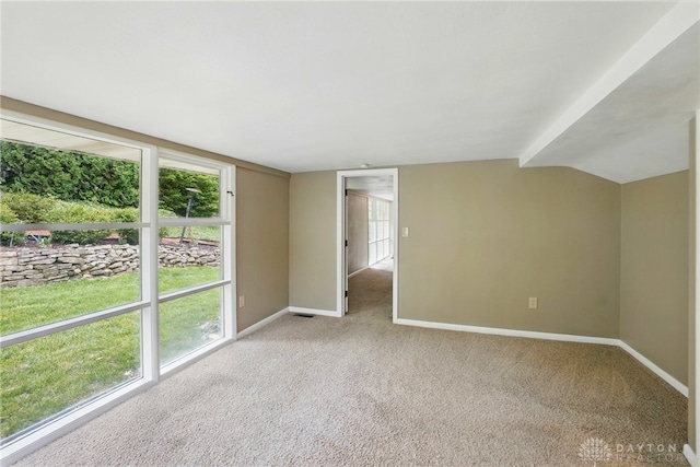 450 Ridgewood Ave, Oakwood, OH 45409 - carpeted spare room featuring baseboards, plenty of natural light, and vaulted ceiling