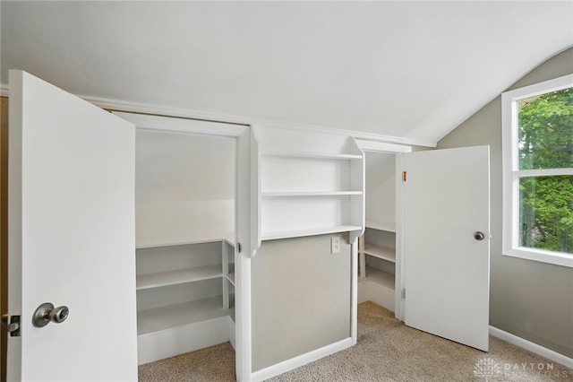 450 Ridgewood Ave, Oakwood, OH 45409 - walk in closet with carpet floors and vaulted ceiling