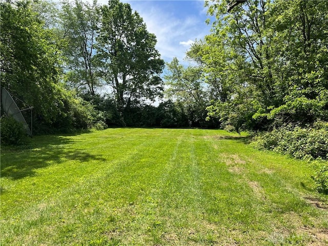 8700 Adams Rd, Dayton, OH 45424 - view of green lawn